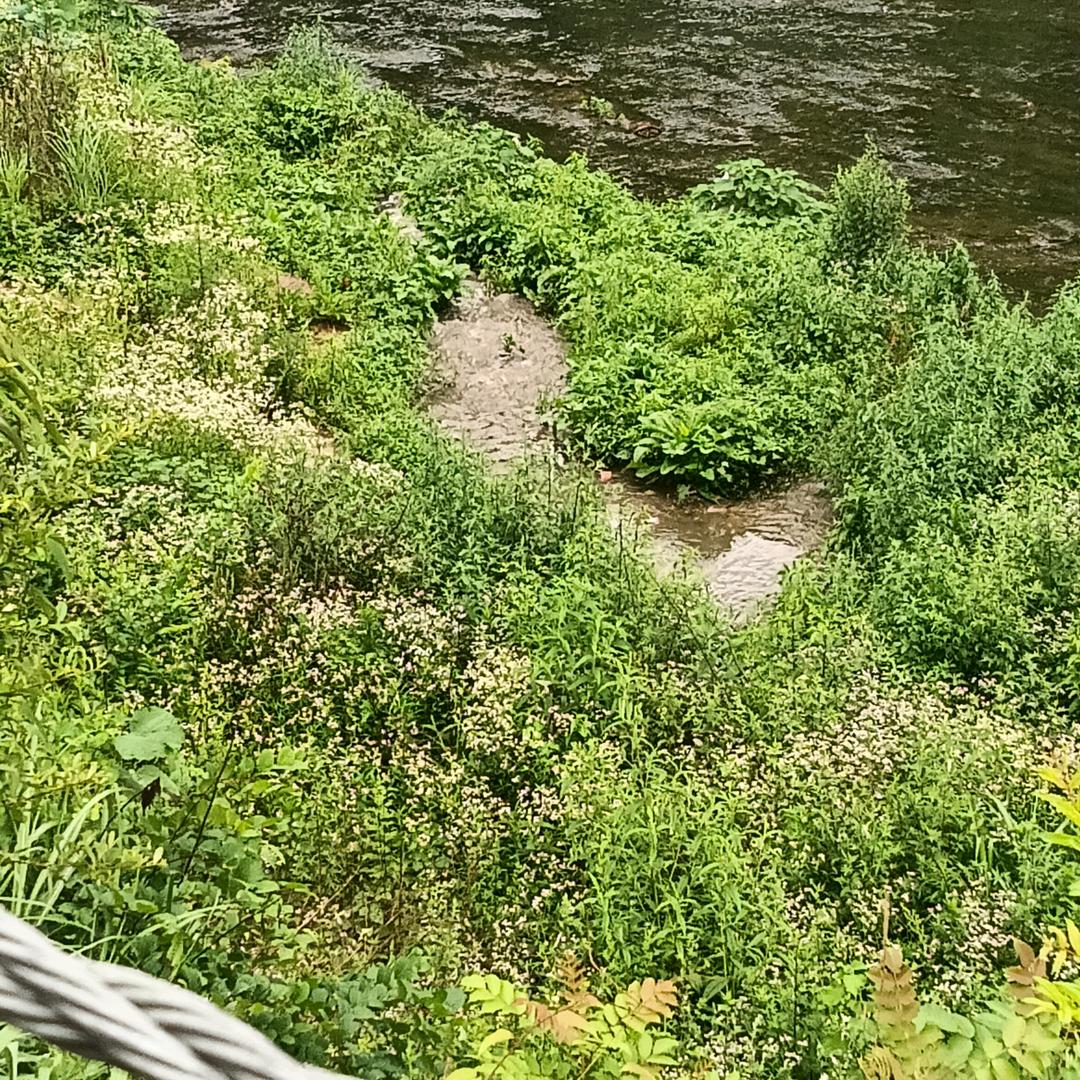 青山是主人是客