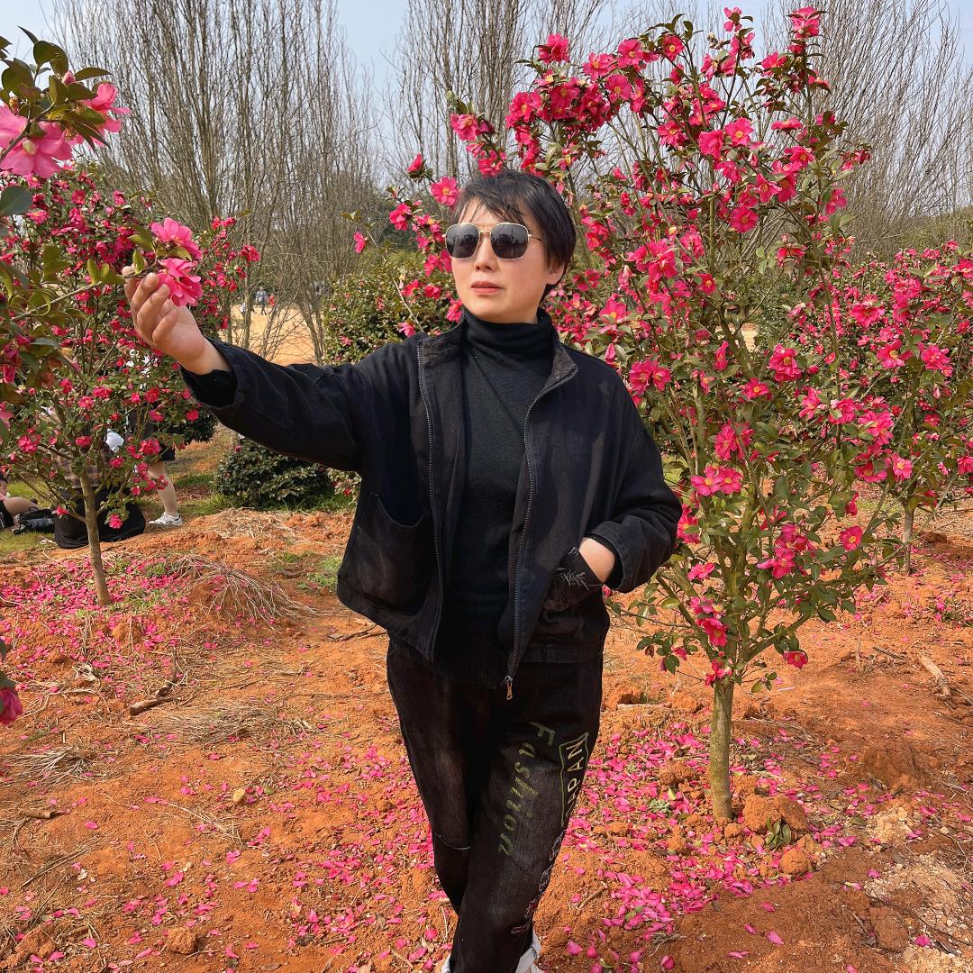 樟树市东帝兴布艺店