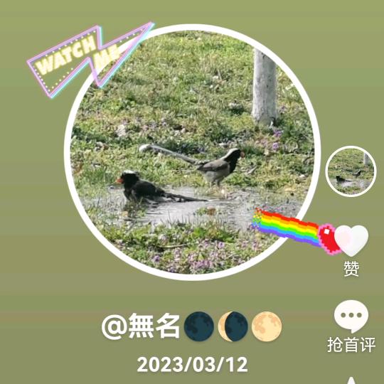 無名🙏🙏🙏