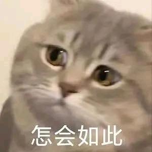 ...头像
