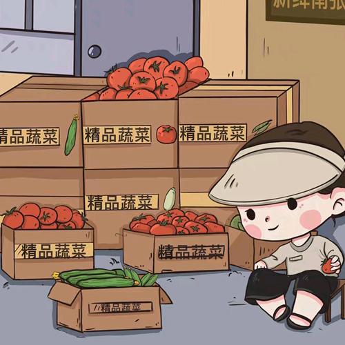 新绛南张蔬菜产地（西红柿黄瓜代办）