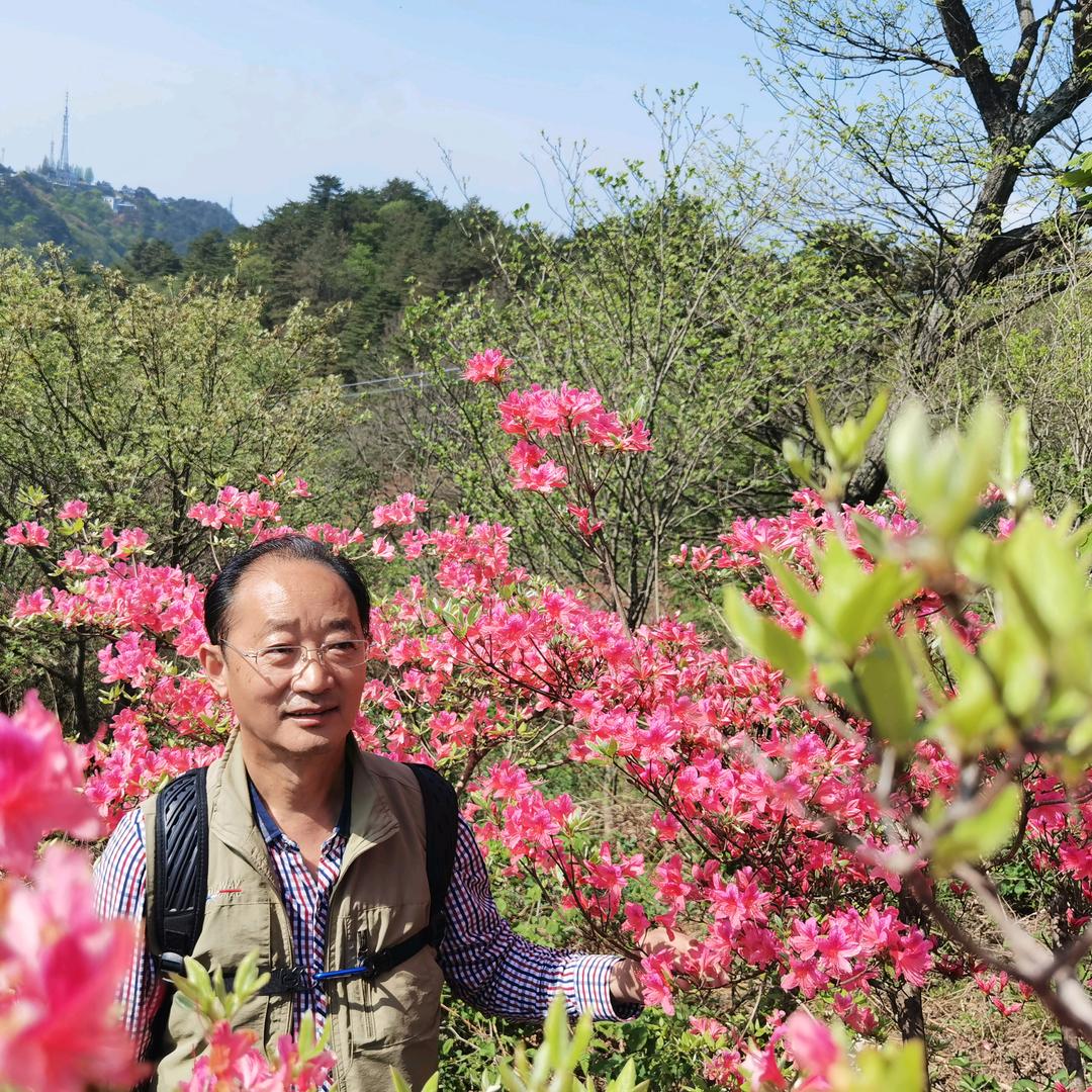 齐鲁游子