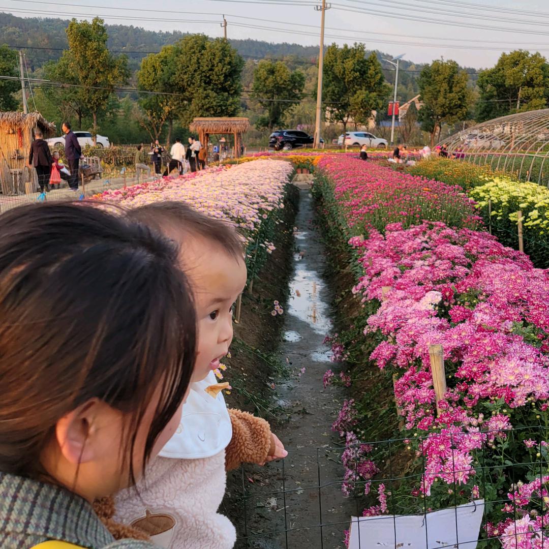 阿贝小花园