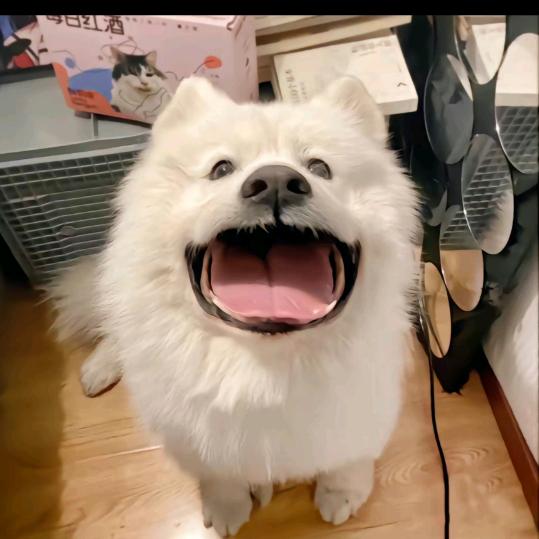 而我在等你！