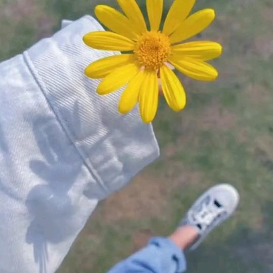 PE管，虹吸管业；HDPE管材