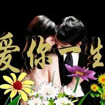 多情的我总比无情的人伤