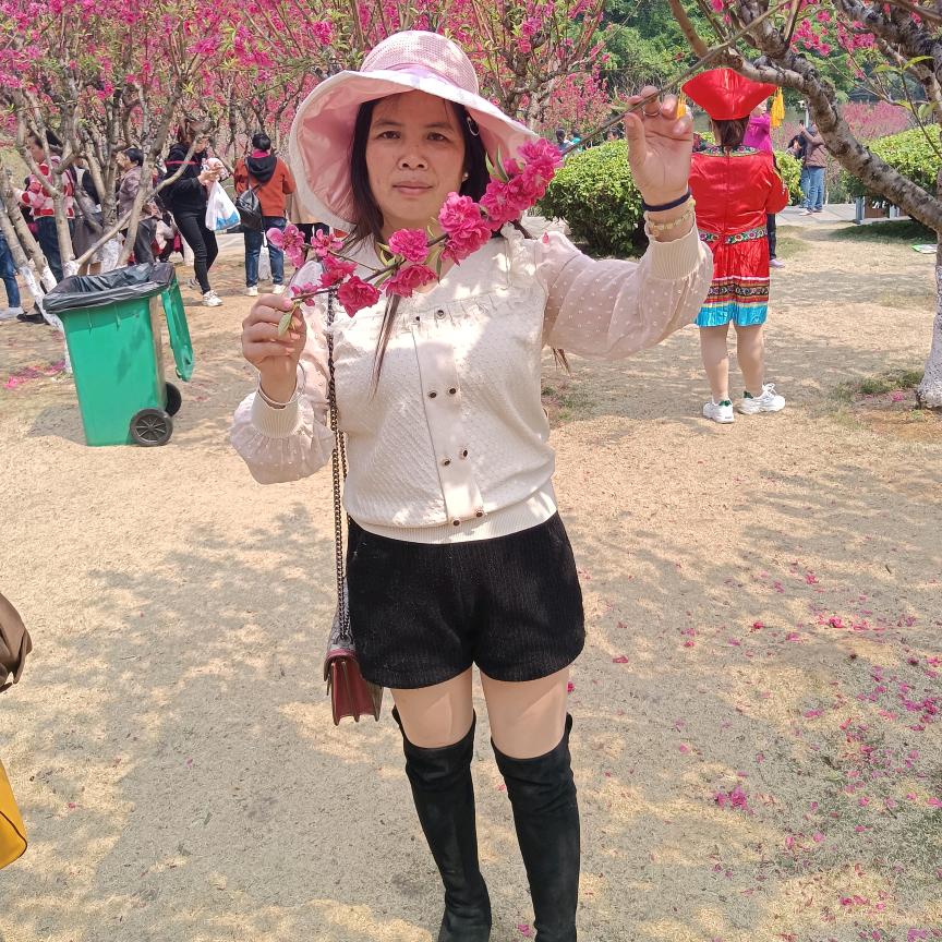 MiSS兰