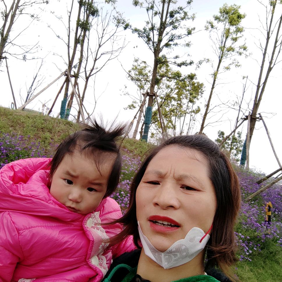 木瑾