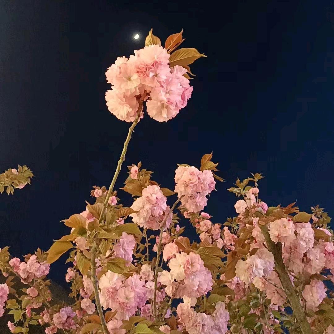 娜姑娘 旺芝缘烧烤🥰