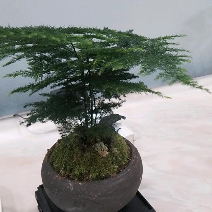 秋天的大风