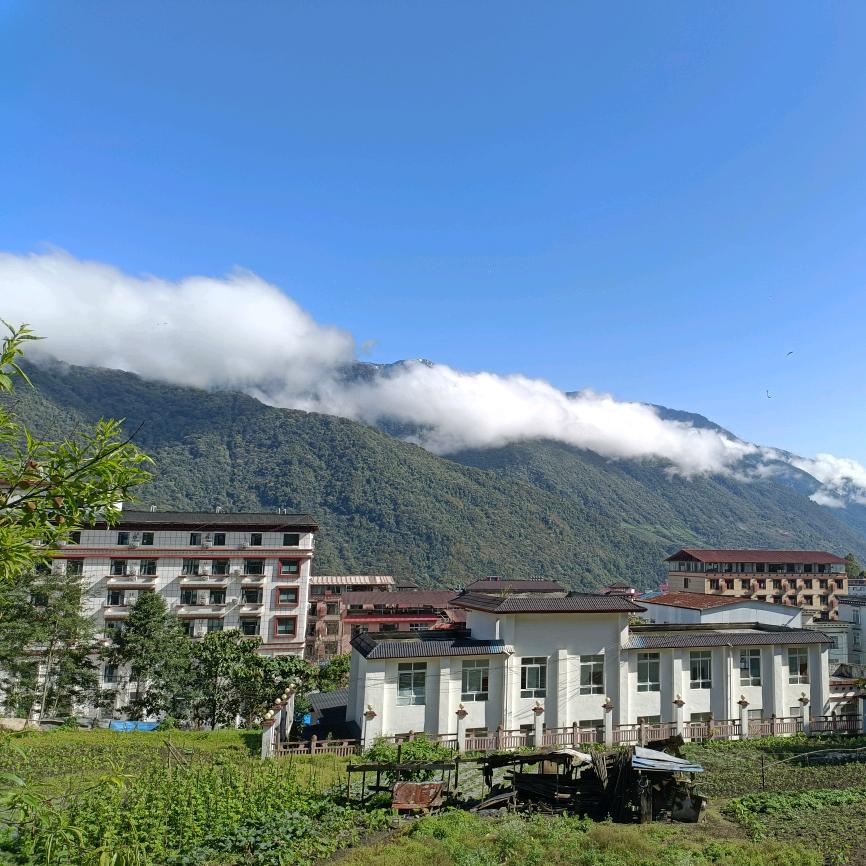 雪域雄鹰