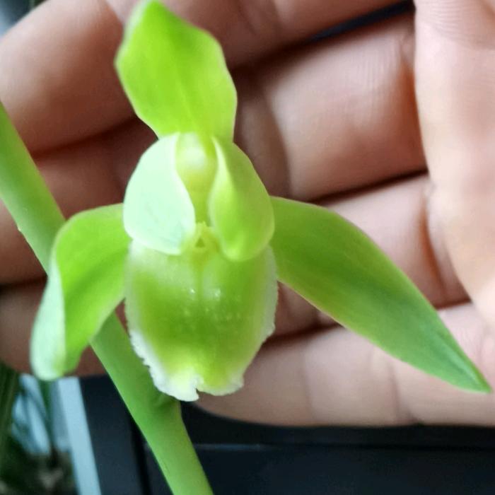 幽默