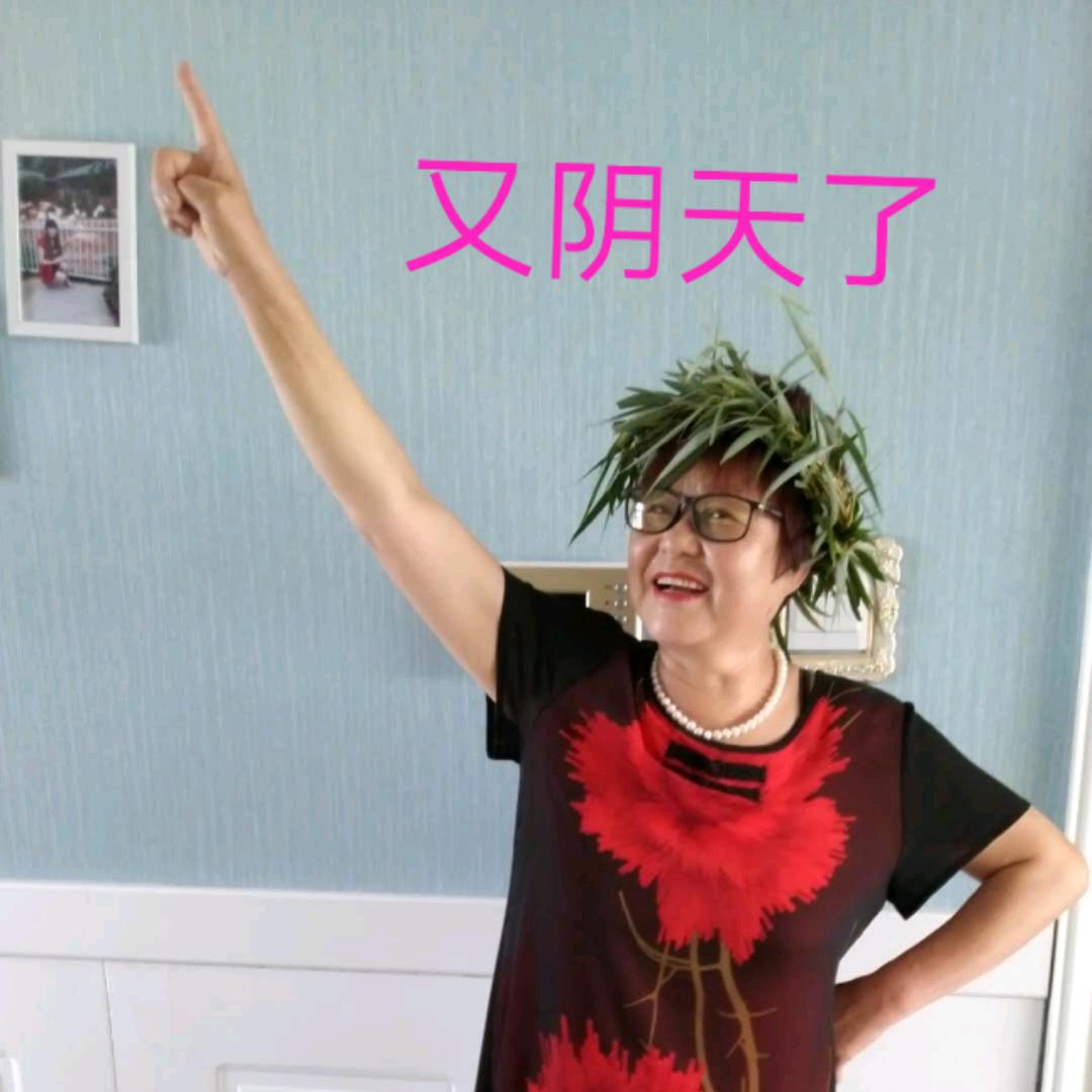 八月的肥牛