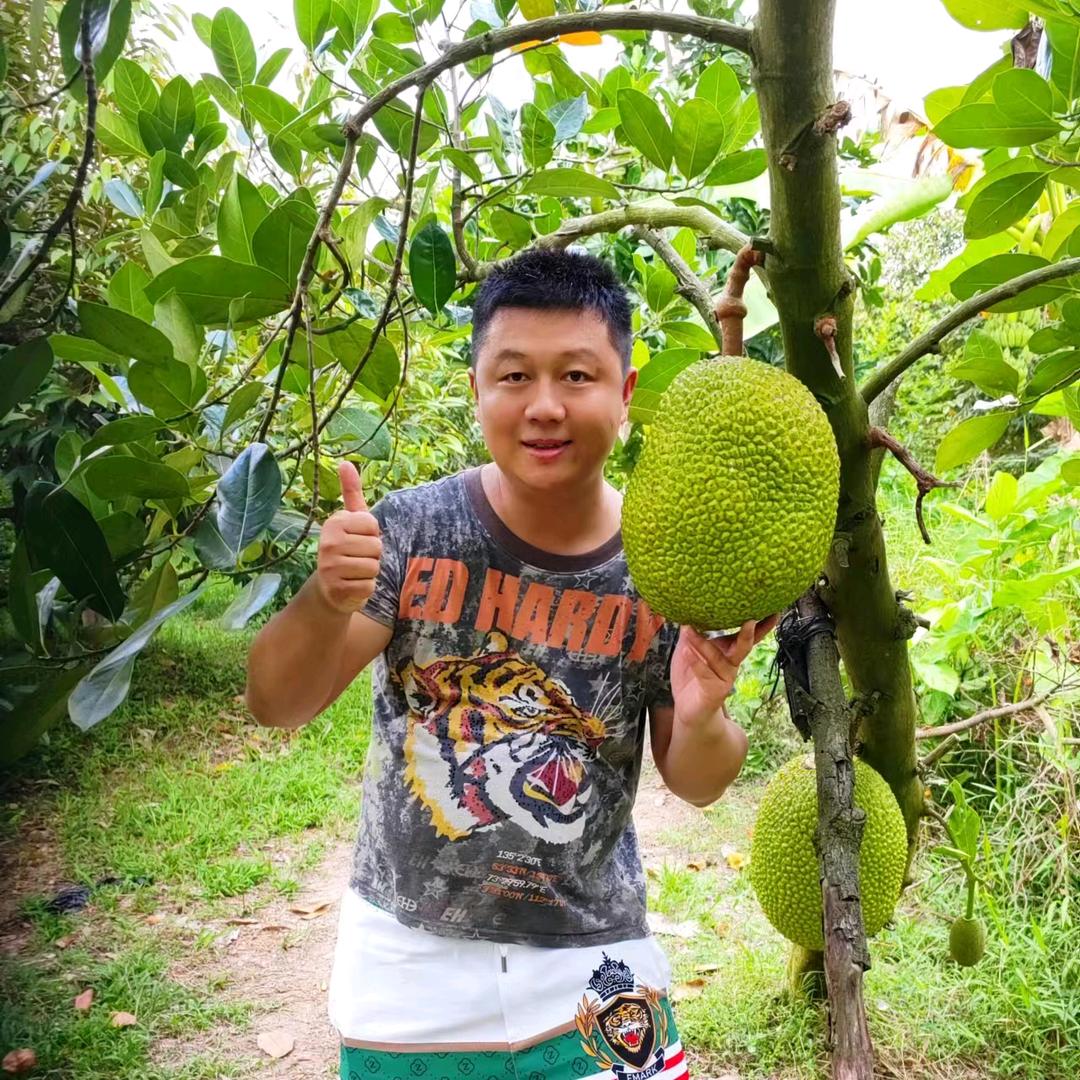 畅发东南亚进口优选每日果仓
