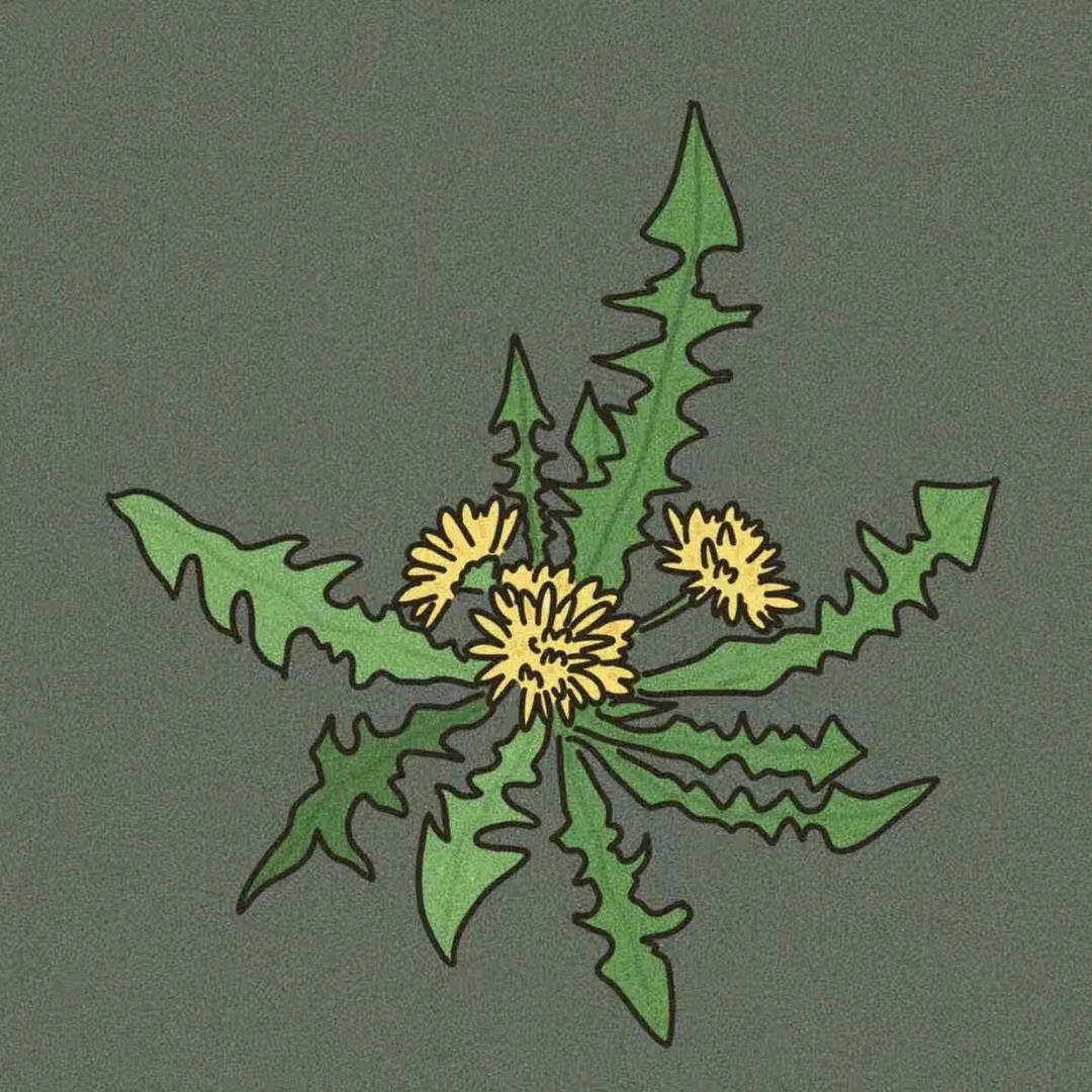 孙悦