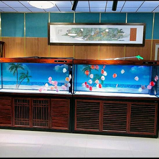 小杜水族用品