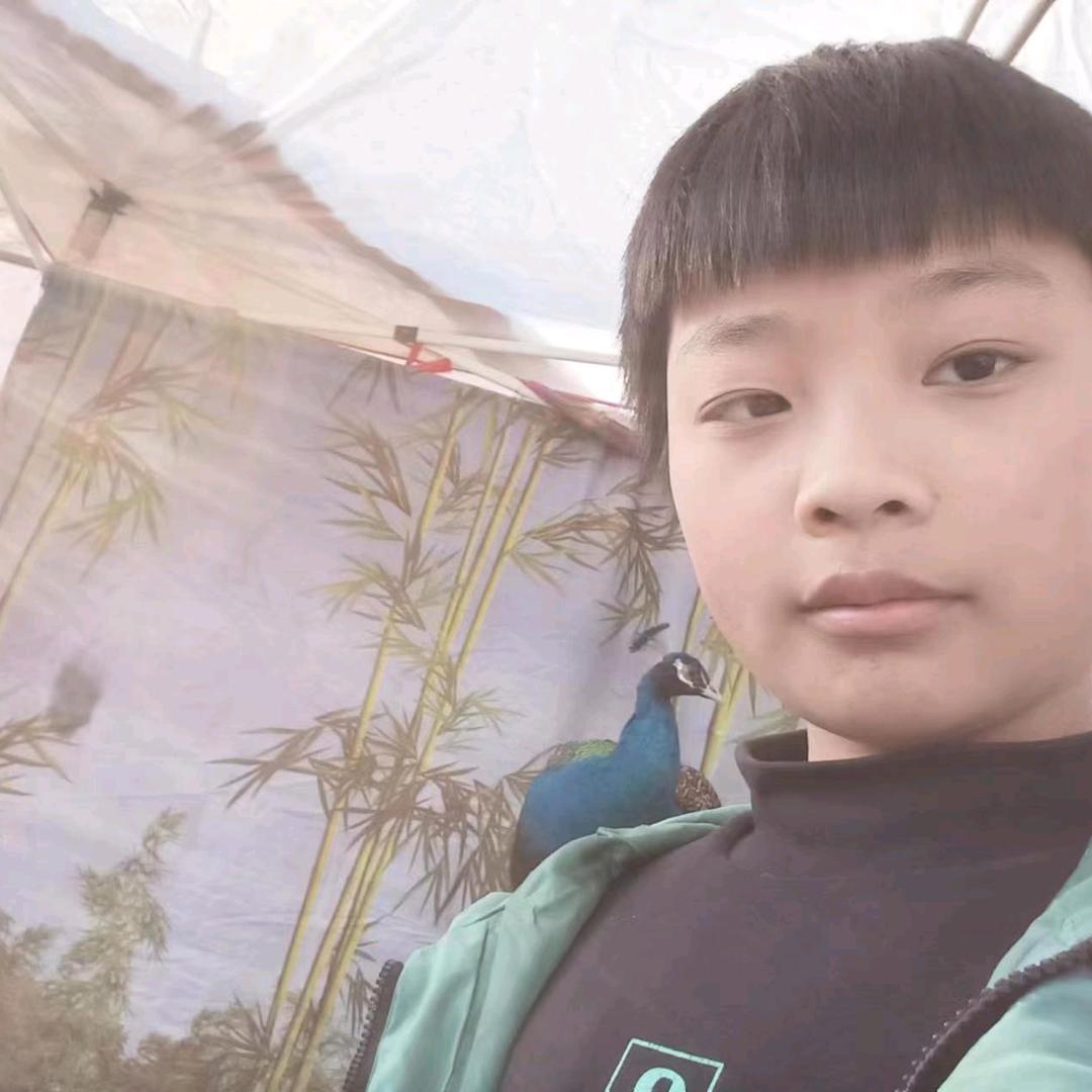 平平淡淡的生活