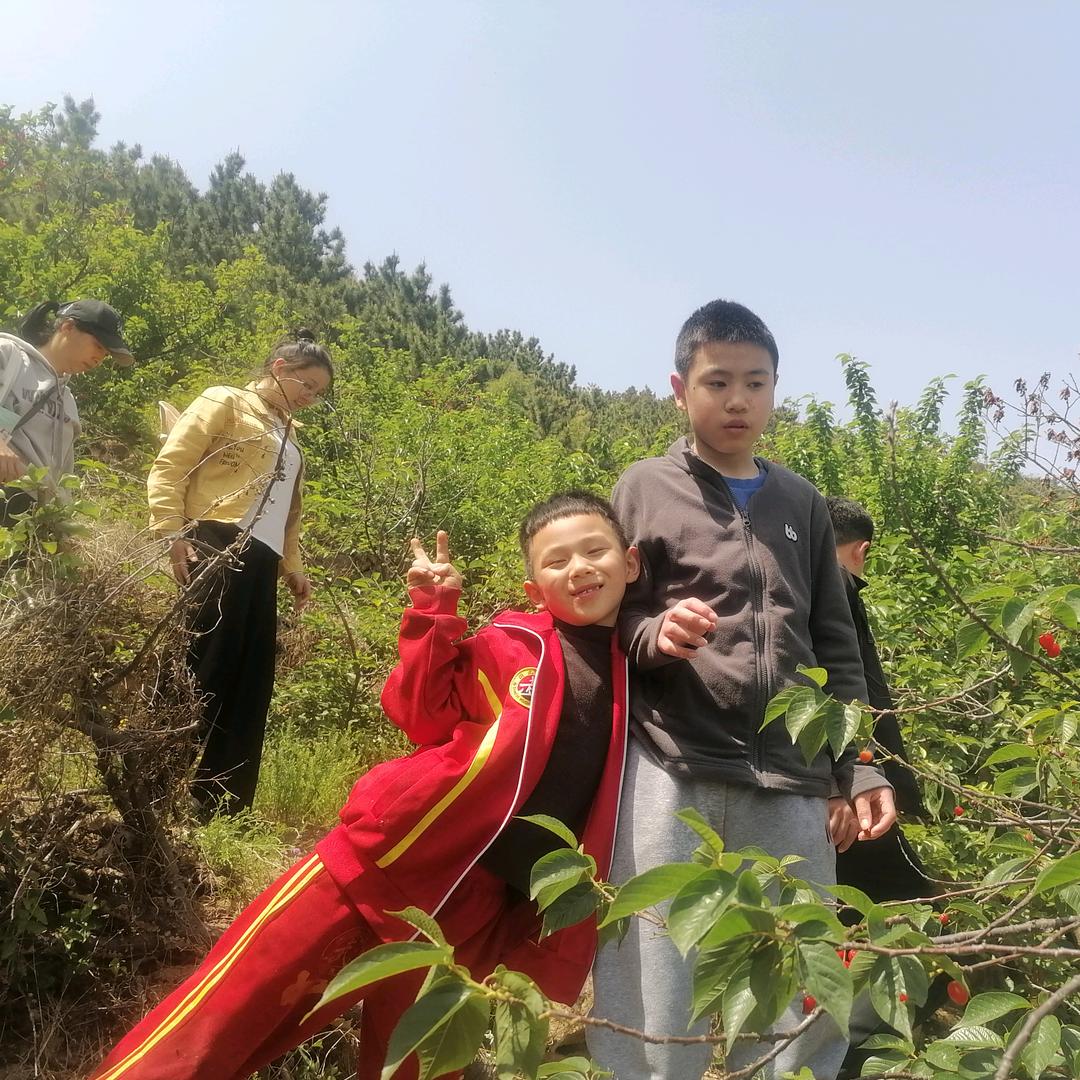 陈洪柱