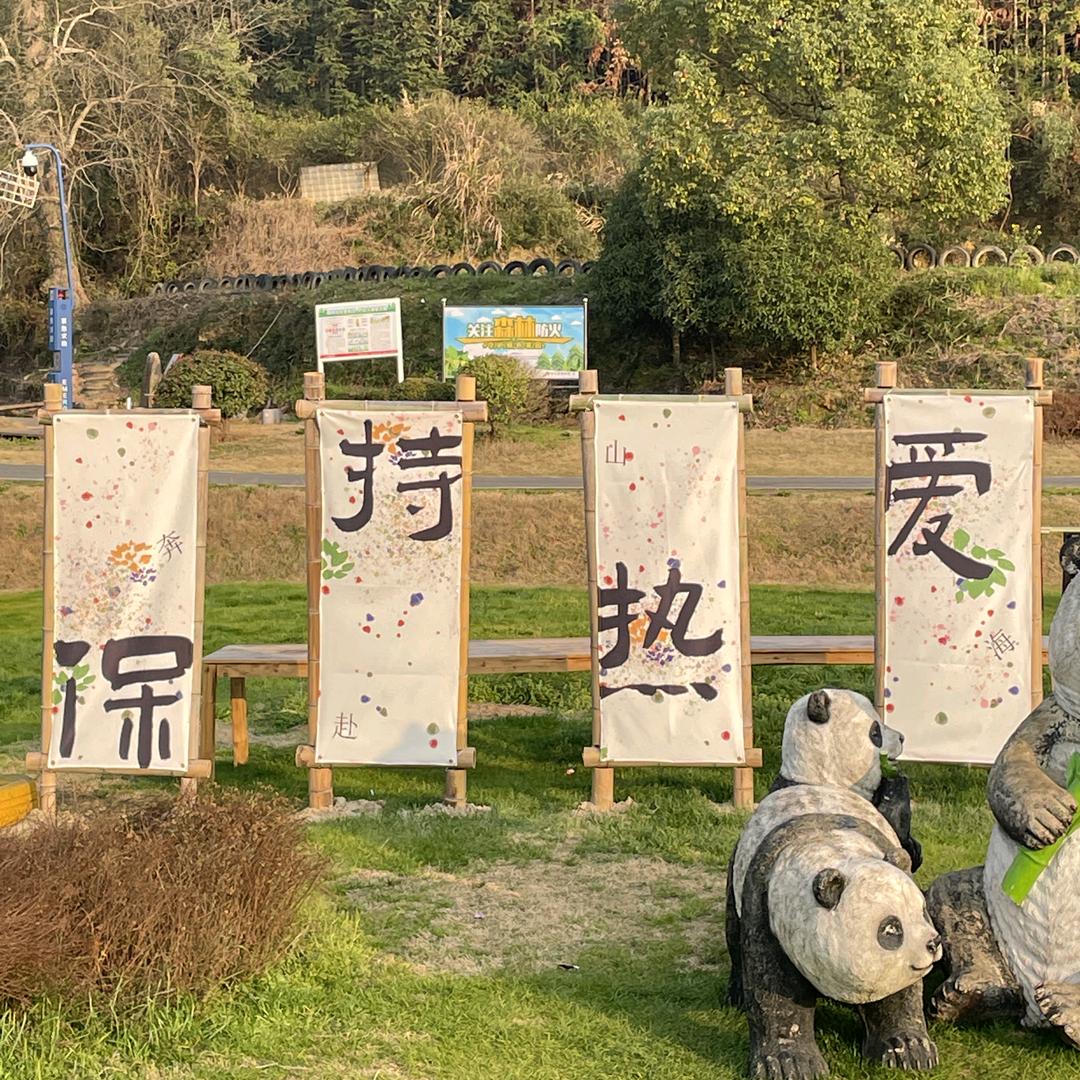 🌤热爱🦌