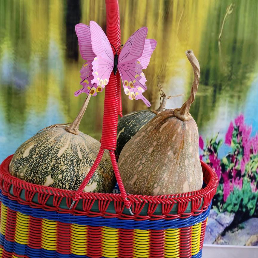 @青青姐（筹备中）