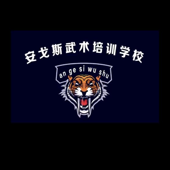 安戈斯武术培训学校