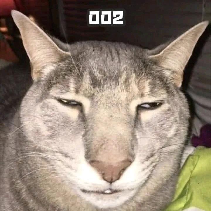 3D-梦境
