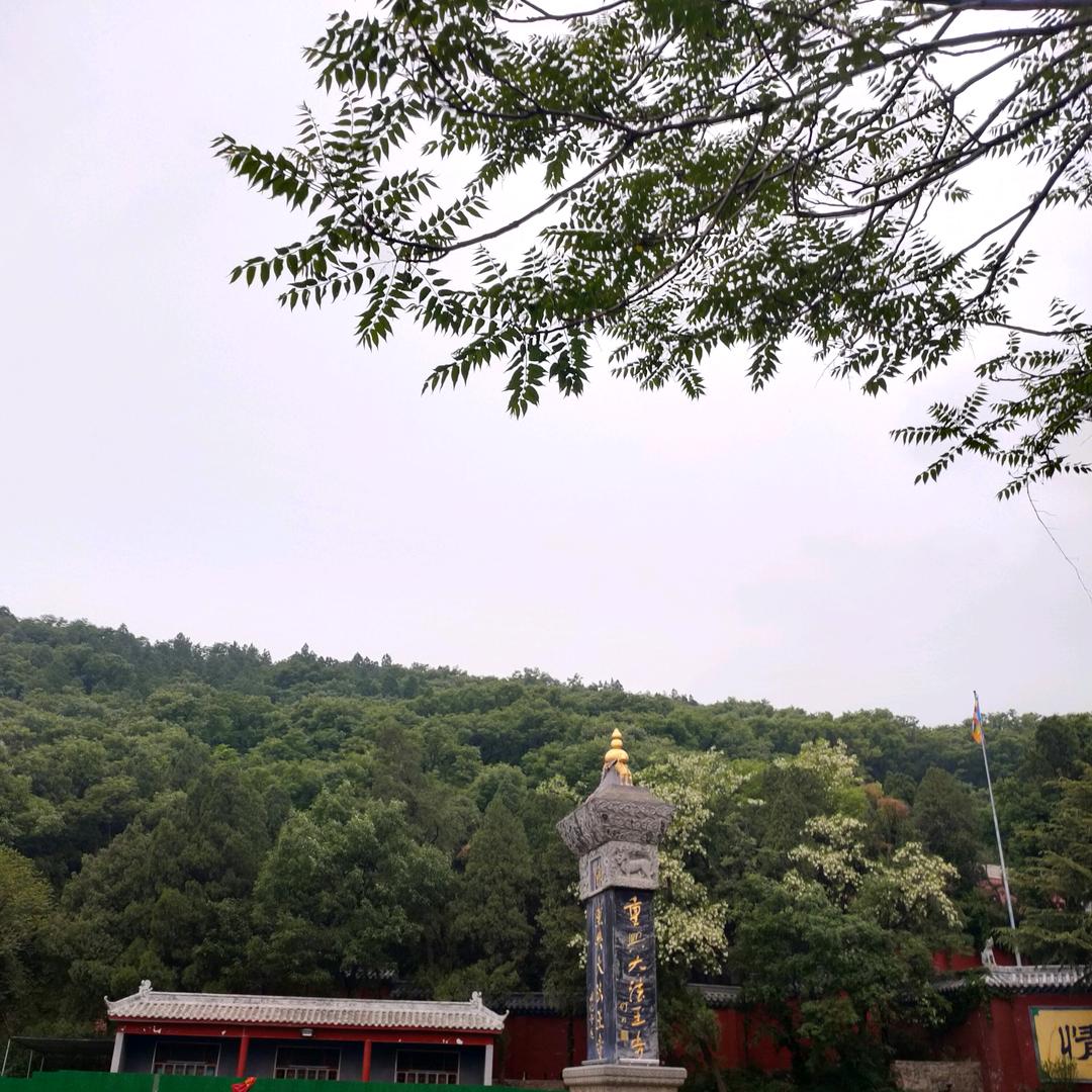 洒脱——拒绝连赞