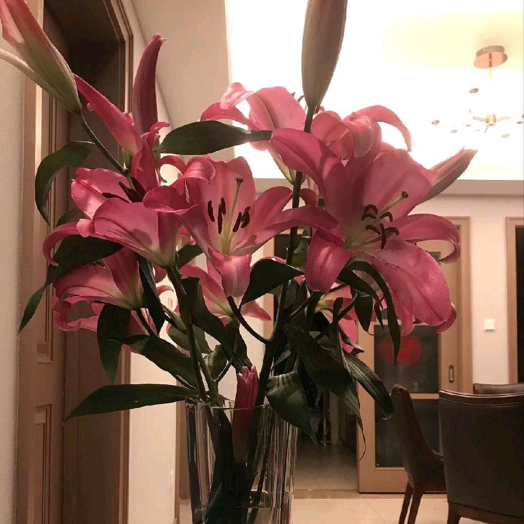 余生有两宝