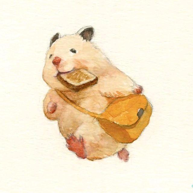 睡不醒的熊