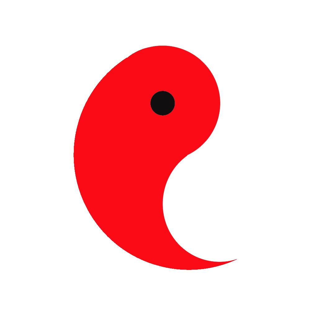 红与黑不白
