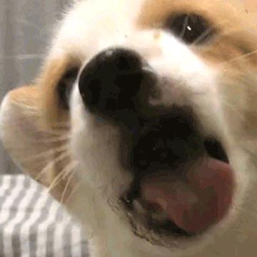 清风吹我襟