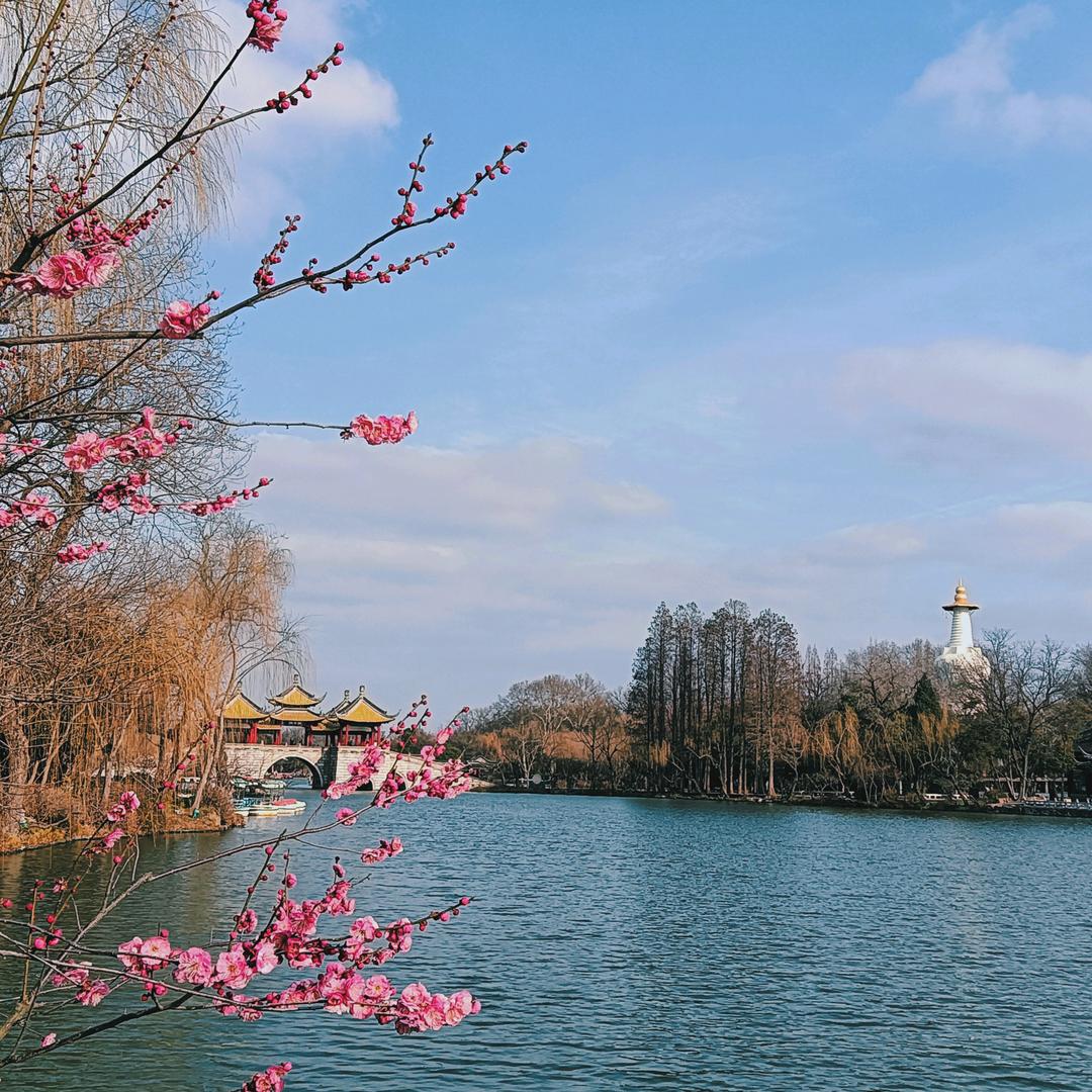 阿芳❤️拒绝合拍)