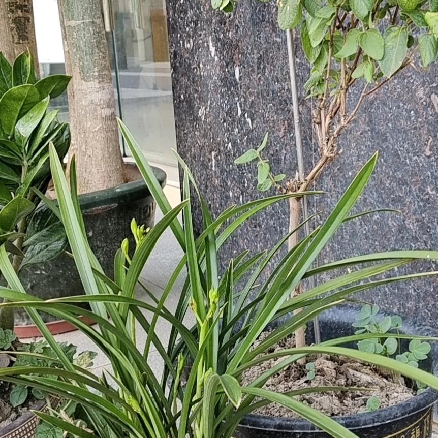 旭杰五金门窗窗帘，
