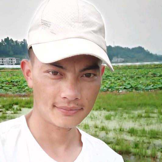 张老表户外