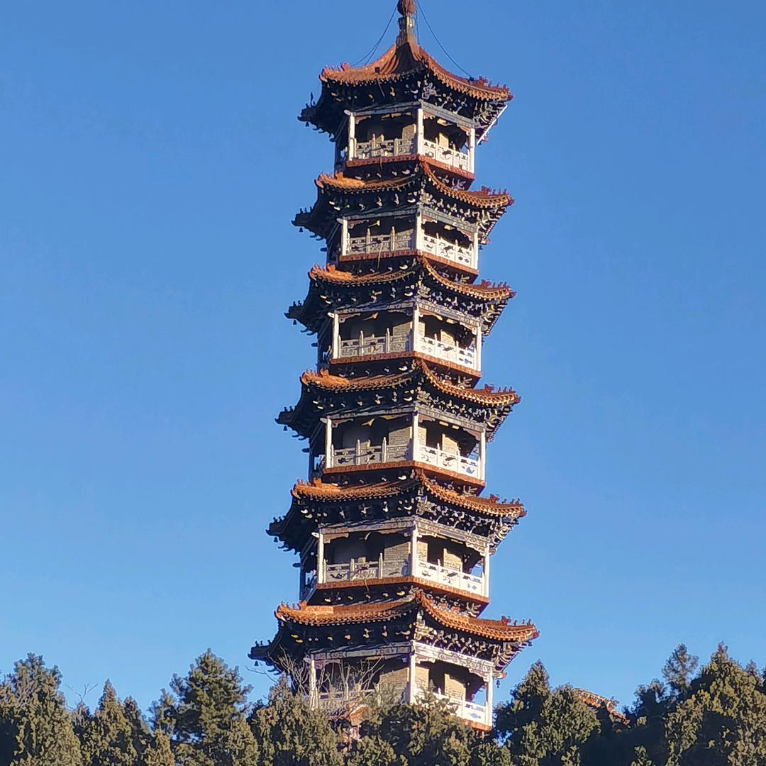 好吃的土豆头像