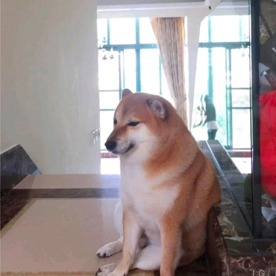 偏画