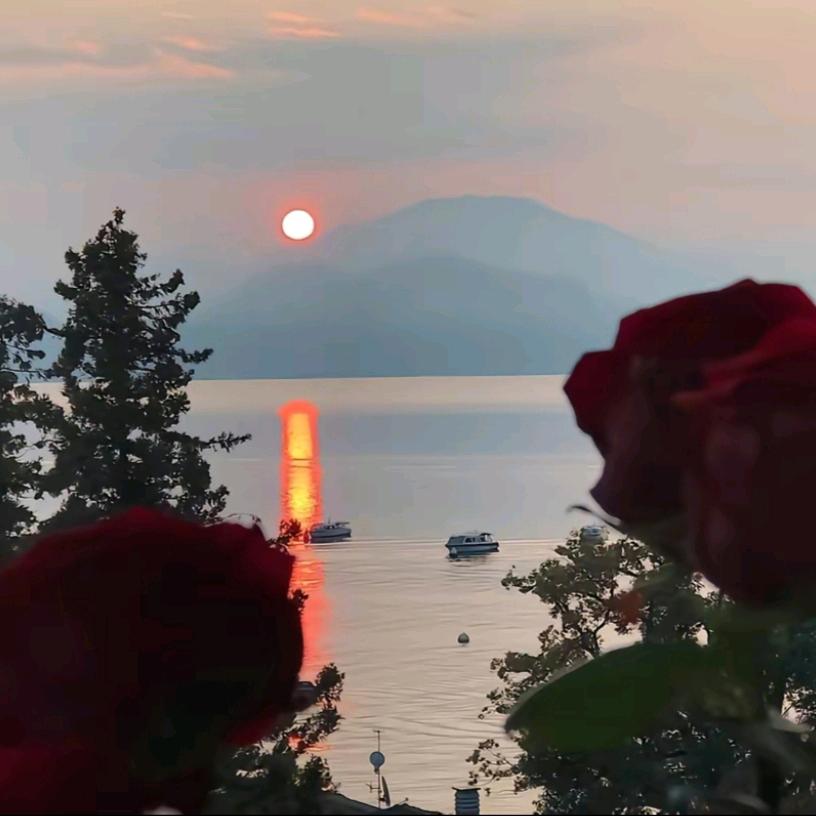 柒月ʕ•̫͡•ʕ