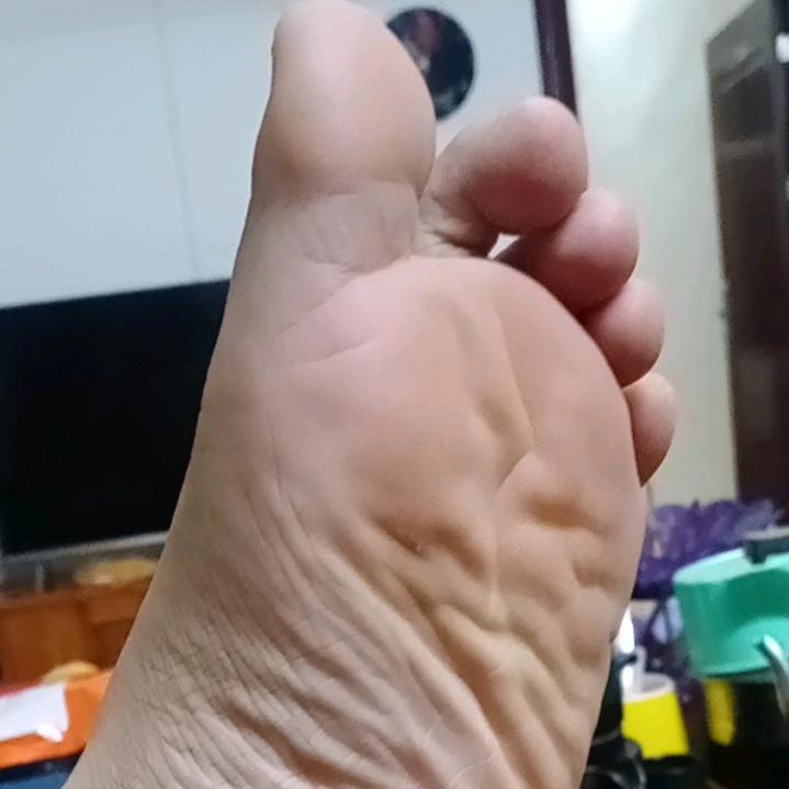 钓鱼佬