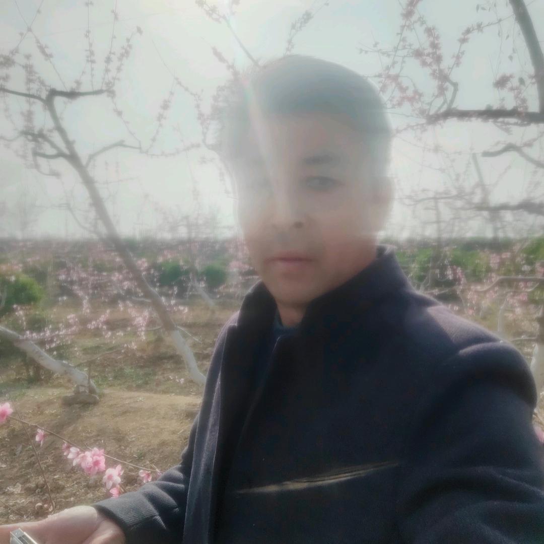 实当