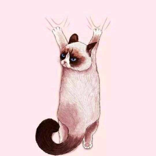 满山的猴子  我腚最红