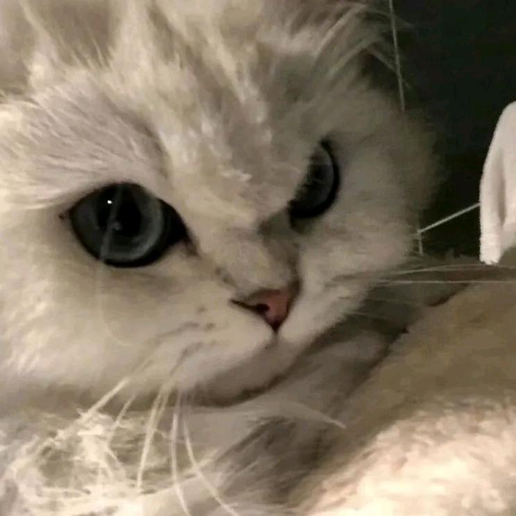柒
