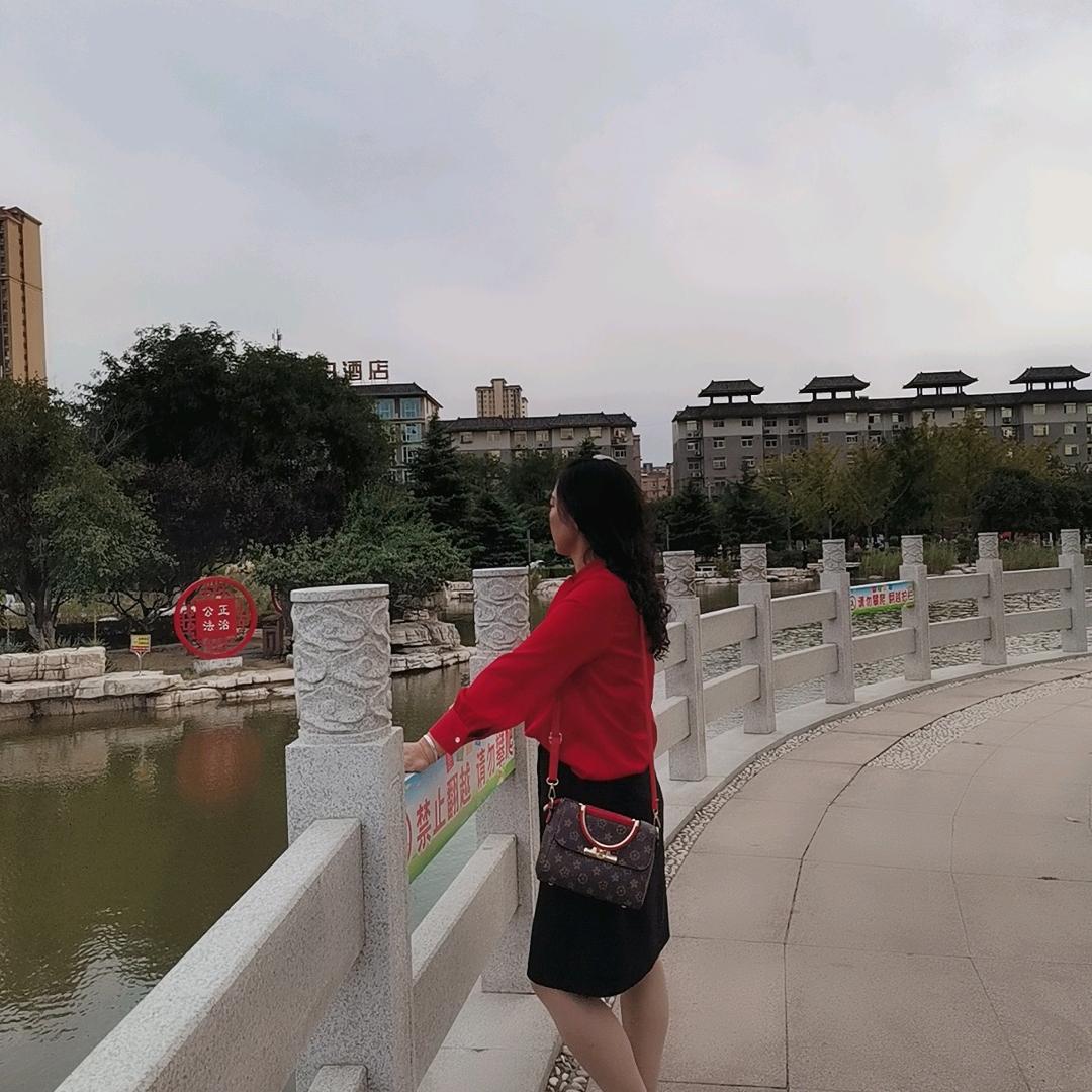玫瑰情缘