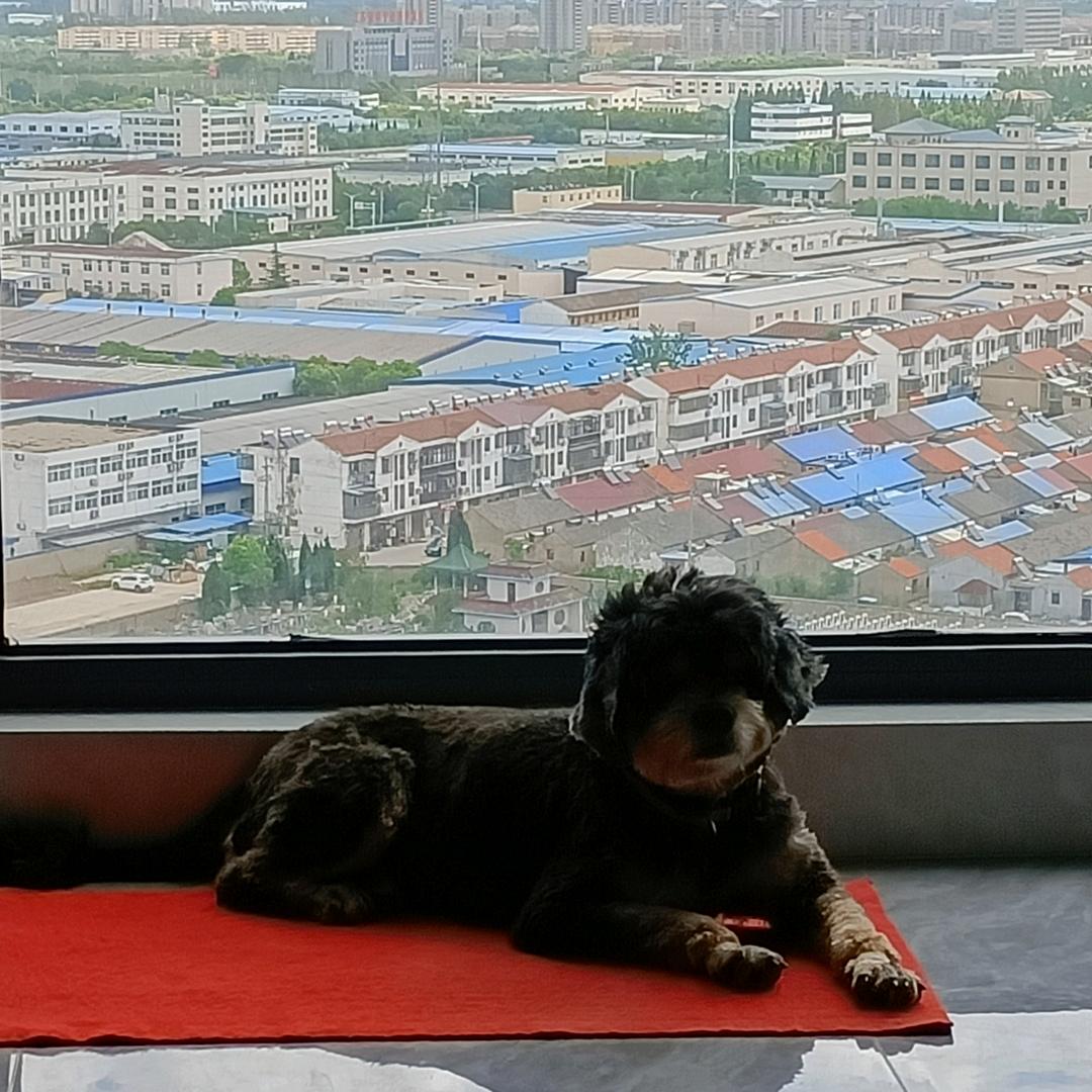 美好时光游小二