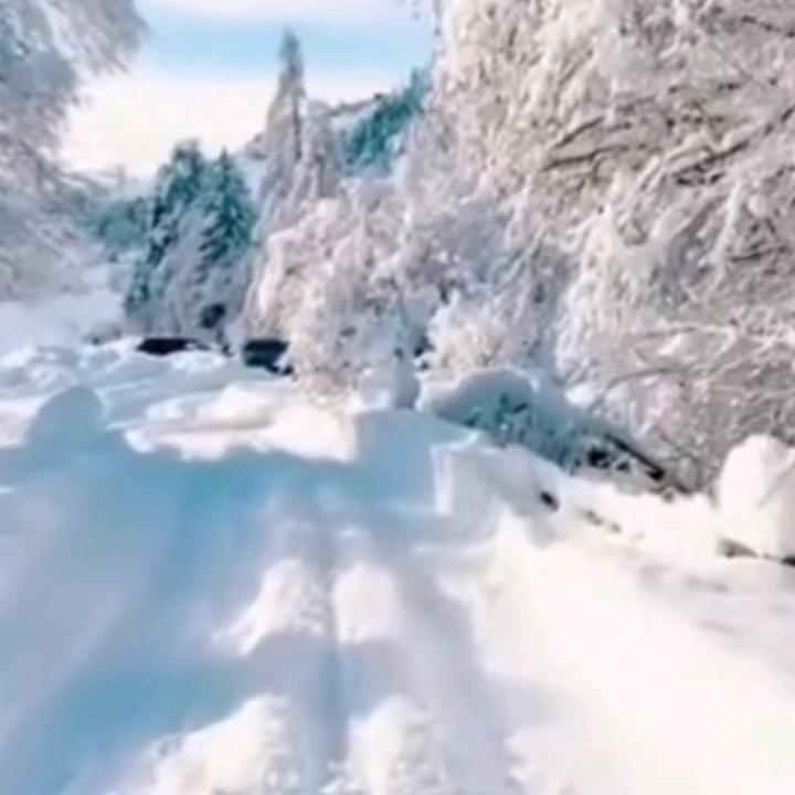 心寒如冰(拒绝私聊)