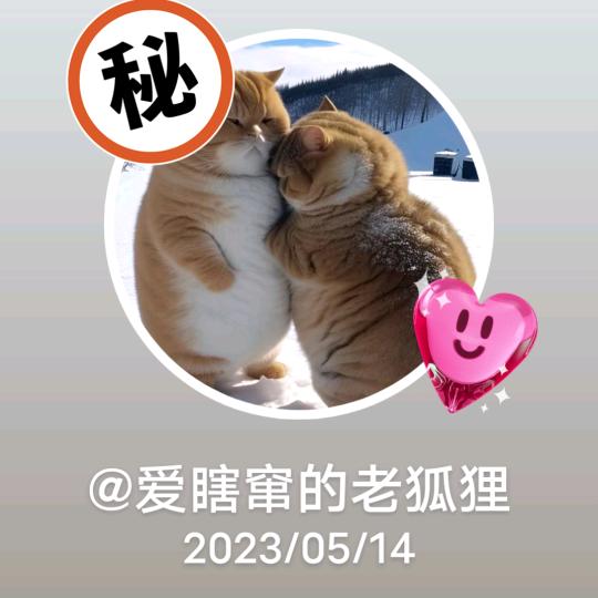 爱瞎窜的老狐狸