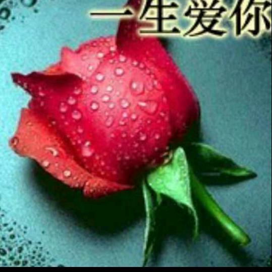 人生如梦🌺🌺