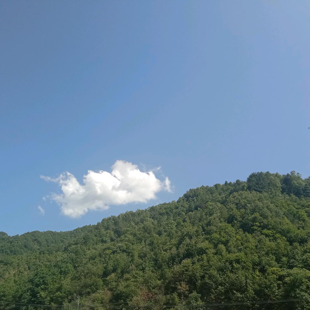 波