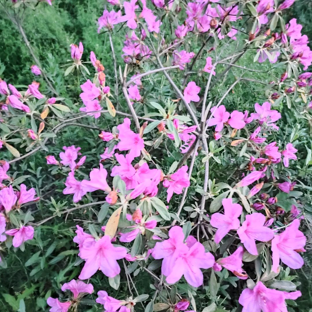 自信