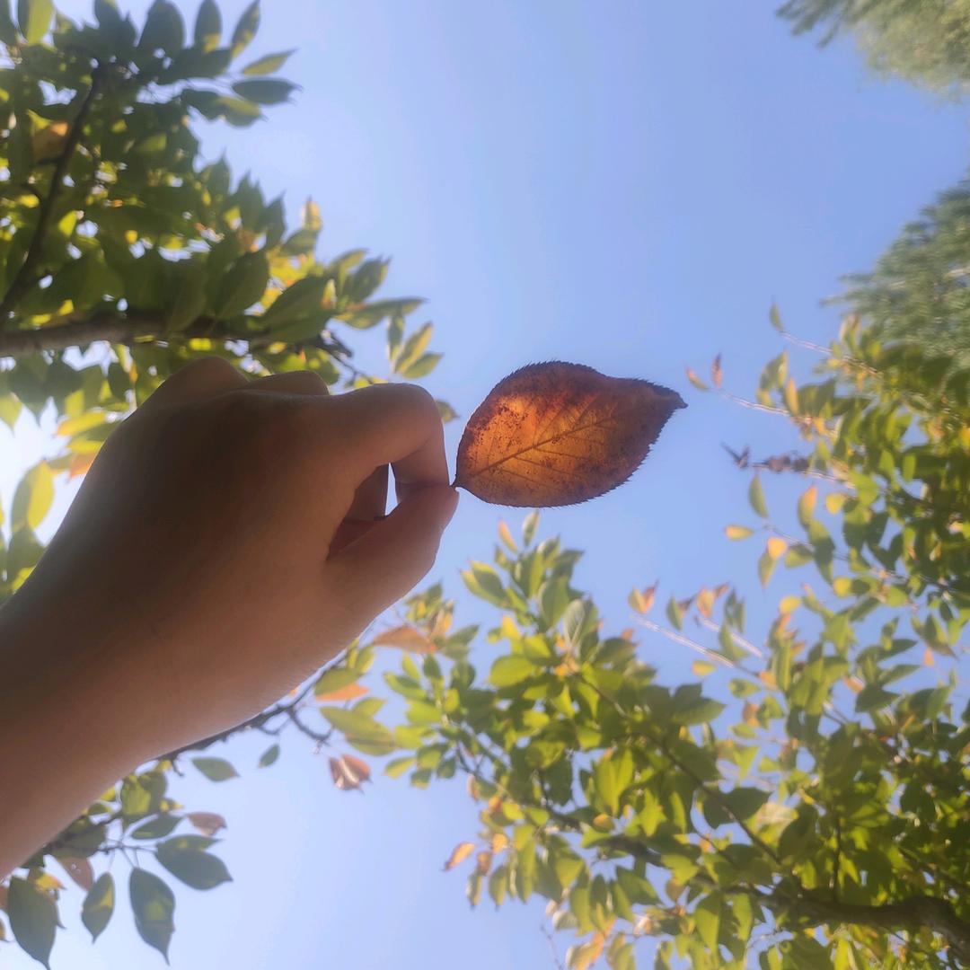 小兔墩墩