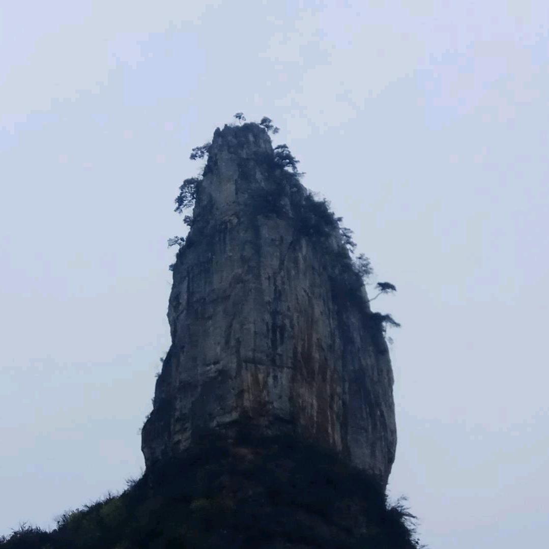 周游 记